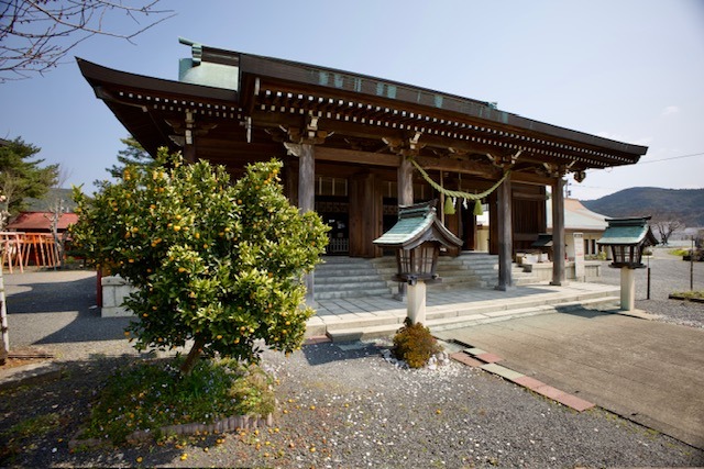 Malý šintoistický chrámek s mandarinkovníkem