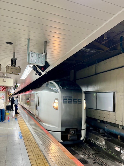 Příjezd vlaku Narita Express do stanice