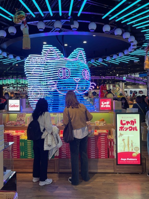 Velká neonová kočka v obchodě na letišti