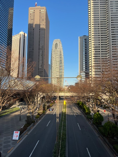 Mrakodrapy v Šindžuku