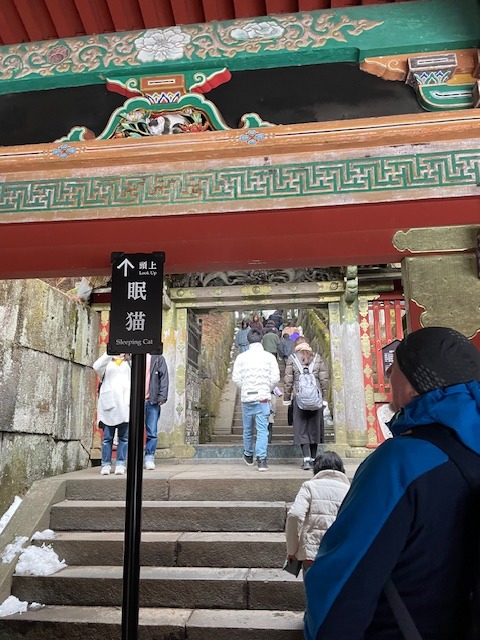 Ukazatel ke spící kočce