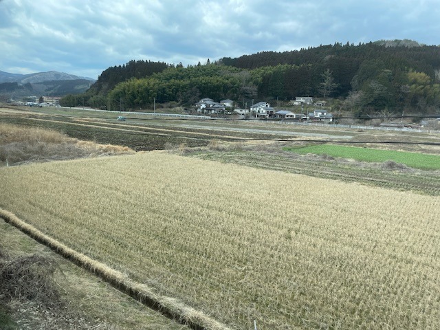 Venkovská krajina z vlaku