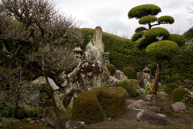 Pečlivě upravený strom v zahradě