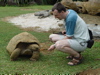 Fauna